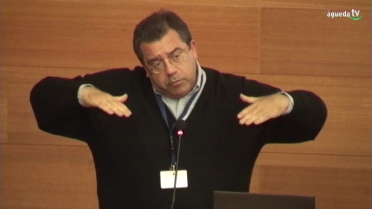 Conferência O Parque e a cidade – (Henrique Cayatte)