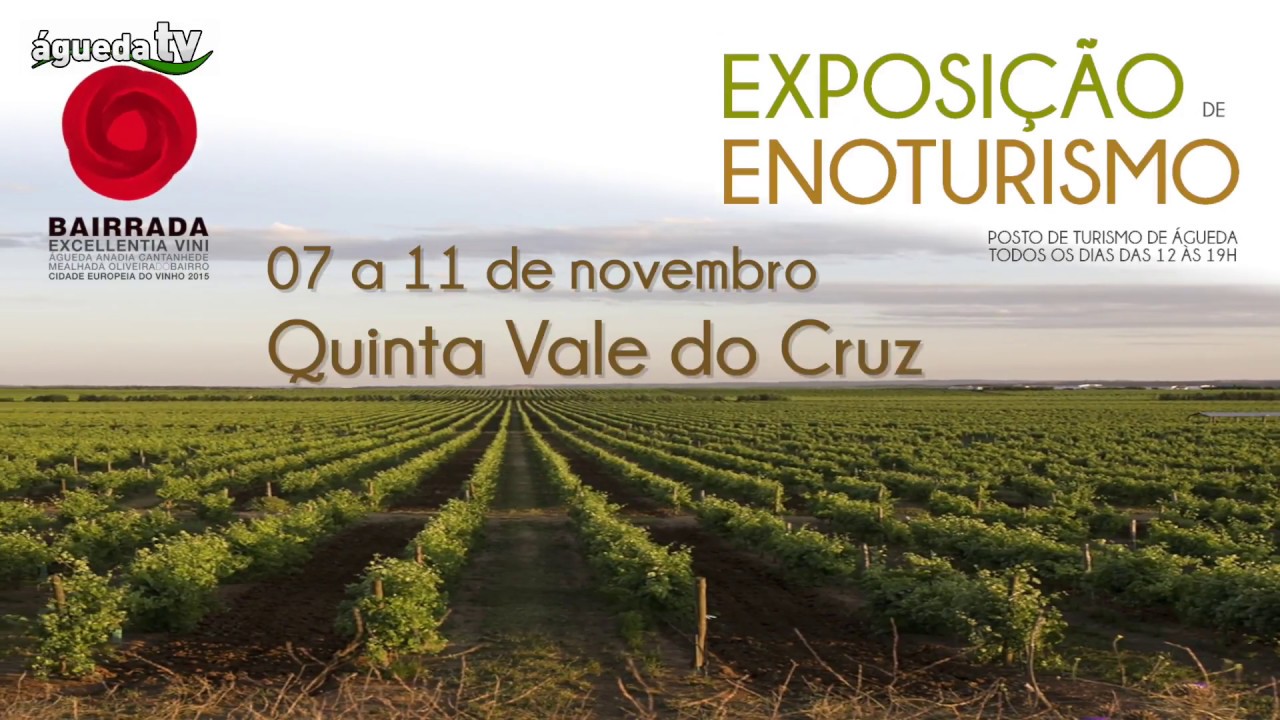 Exposição de enoturismo no Posto de Turismo de Águeda :: 07 a 11 de novembro: Quinta Vale do Cruz